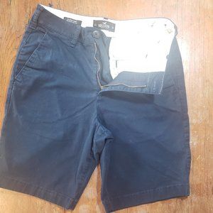Hollister Epic Flex Flat-Front 9” Short, Size 28